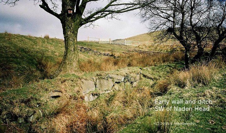 Early Wall and Ditch - Naden